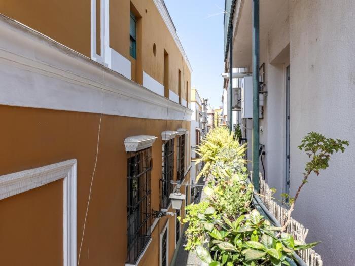 Appartement San Vicente -oasis De Paz En El Corazon De 3 Hab - 2 Banos Wifi Ac